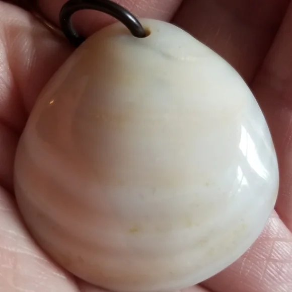 Vintage seashell pendant mother of pearl ocean coastal gold tone beach shell - Picture 8 of 10